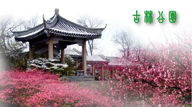 <b>【南京三門灣電器】周日4.24古林公園賞牡丹花、</b>